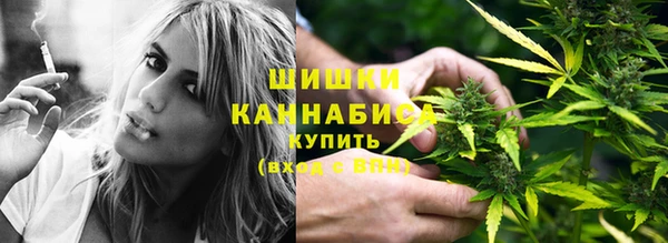 СК Каменка