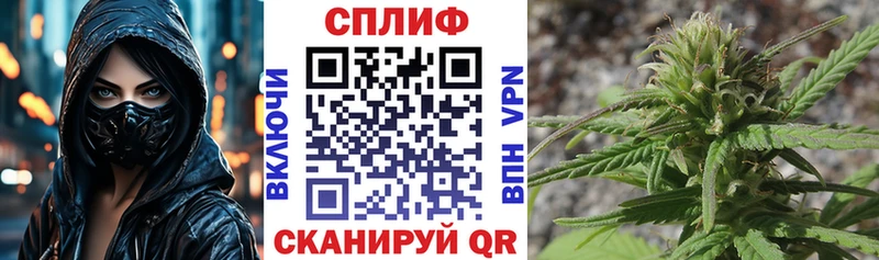 Бошки марихуана Bruce Banner где продают нарко площадка телеграм Обнинск